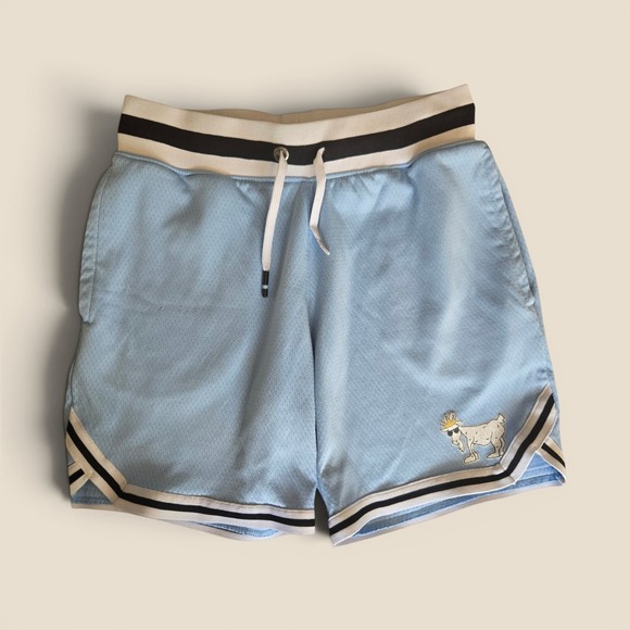 Goat Usa Other - GOAT USA Kids Youth Large Light Blue Mesh Basketball Shorts Athletic Striped